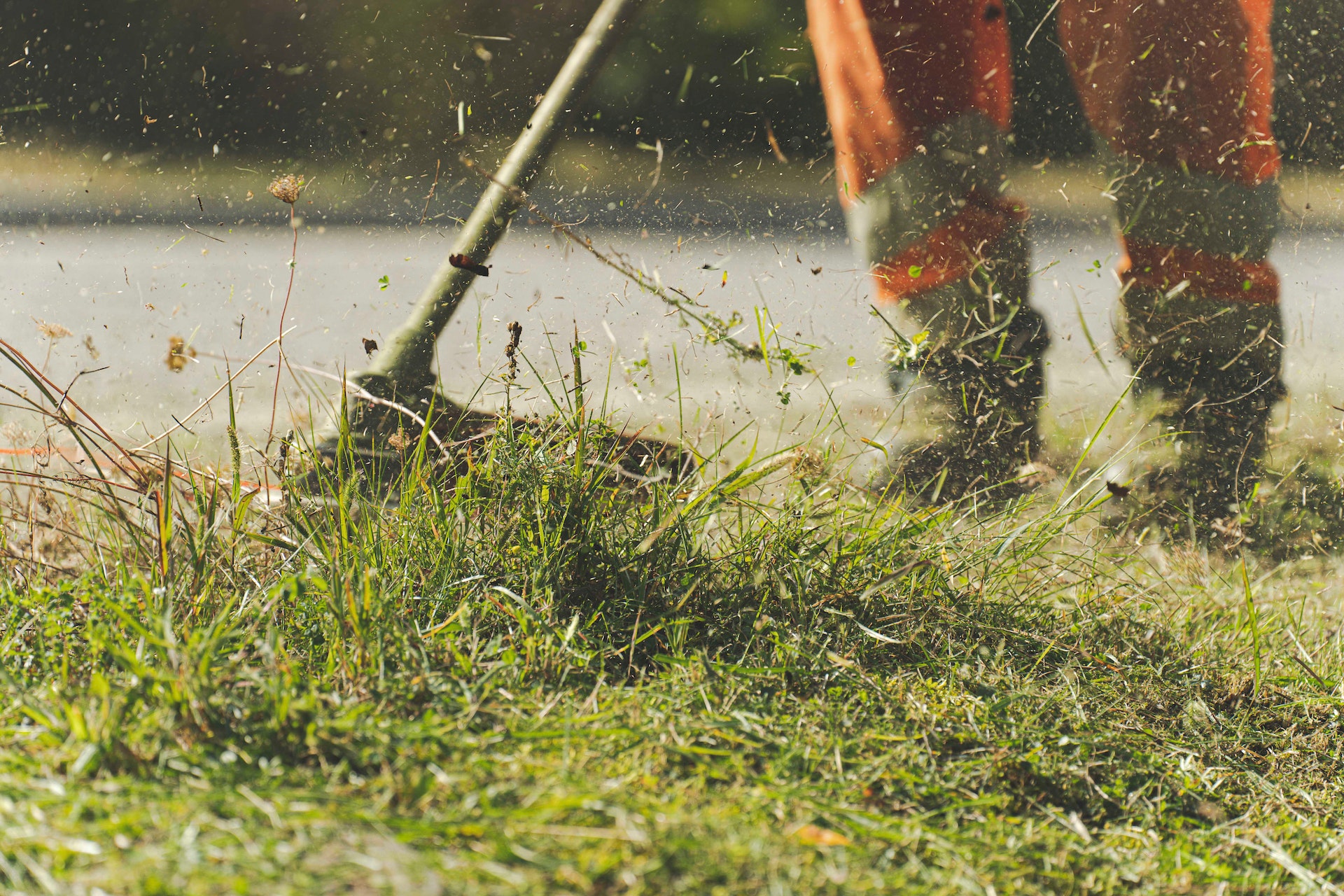 Professional Lawn Mowing - Tampa Bay Landscape Services