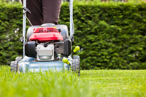lawn-mowing-services-tampa-bay-area